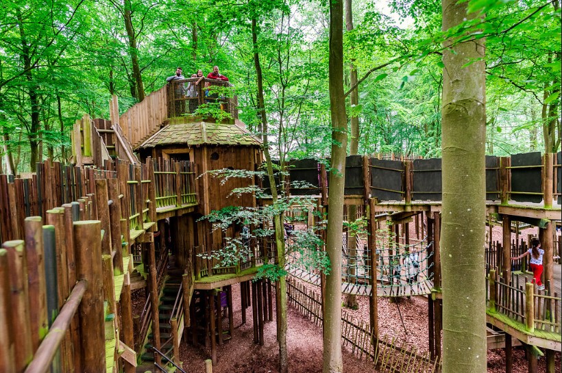 Image of the Bewilderwood project supported by Axis